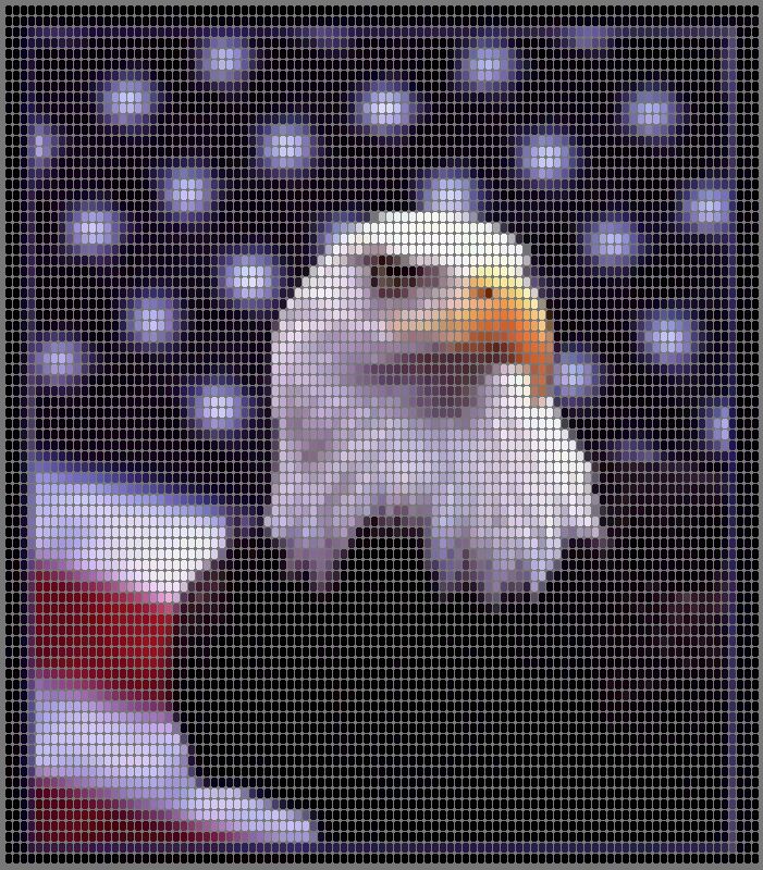 eagle10lm.jpg