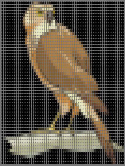 falconlm.jpg