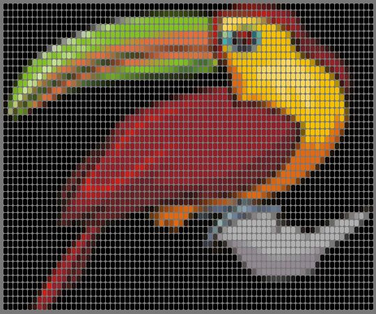 toucanlm.jpg