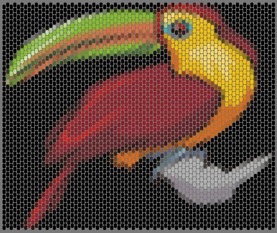 toucanp.jpg