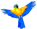 webmacaw.gif